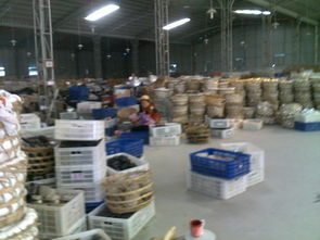 庫存日用百貨的管理與優(yōu)化——以蔡秀敏的日用百貨店為例